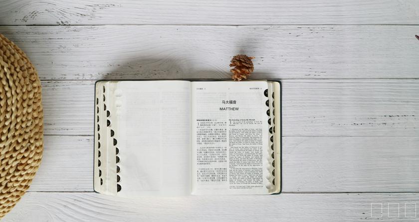 写易过降AIGC，写易过论文查AI率，写易过机器降重，写易过论文查重，写易过论文检测，写易过智能降重