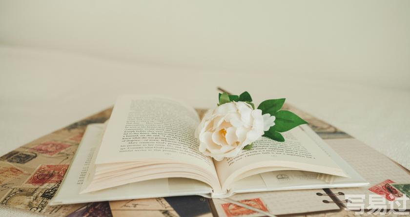 写易过降AIGC，写易过论文查AI率，写易过机器降重，写易过论文查重，写易过论文检测，写易过智能降重