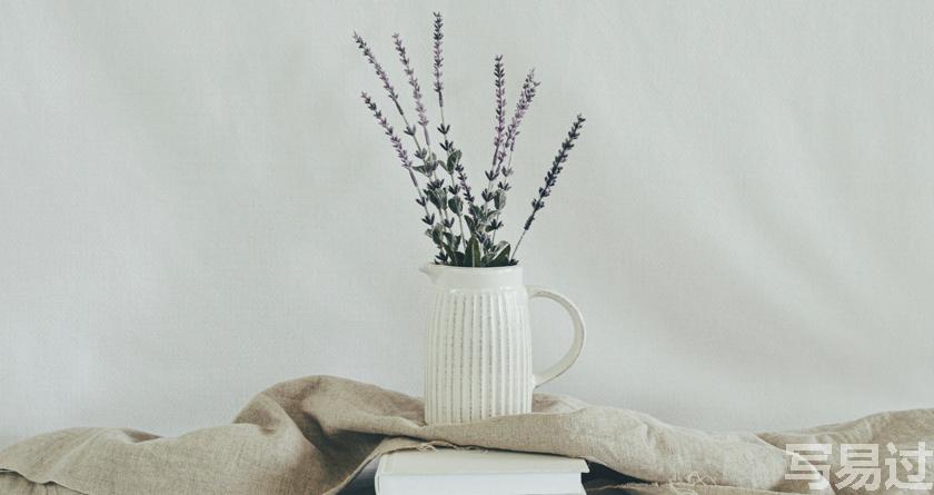 写易过降AIGC,写易过论文查AI率,写易过机器降重,写易过论文查重,写易过论文检测,写易过智能降重